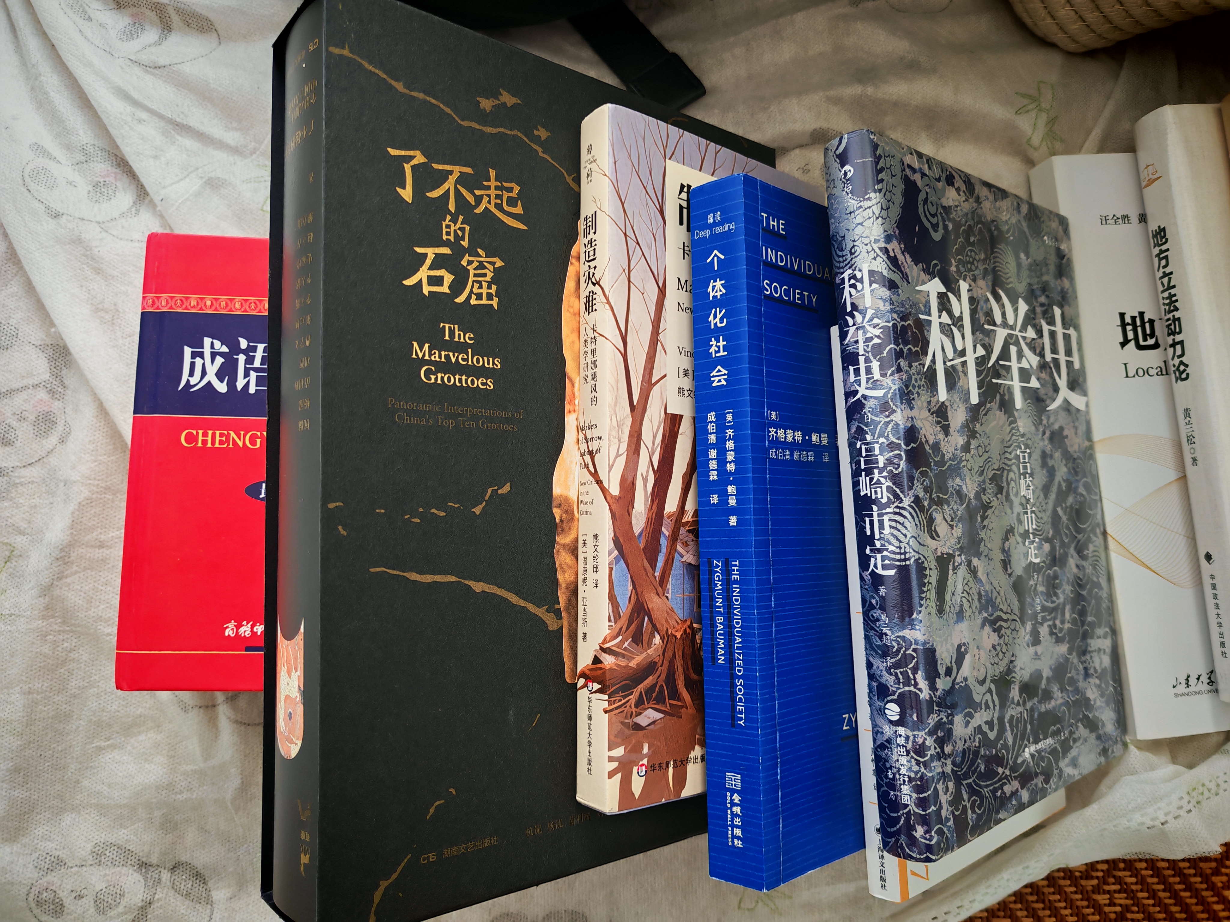 个体化社会【深读】 实拍图