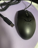 双飞燕（A4TECH）OP-550NU 大手 对称 有线鼠标 办公鼠标外设电脑鼠标有线 笔记本鼠标有线 鼠标usb接口 黑色 有线 实拍图