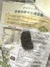 爷爷的农场高钙铁锌手工日晒鸡蛋面480g 用黄天鹅鸡蛋宝宝面条儿童面条挂面 实拍图