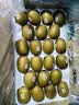 佳沛（zespri）新西兰阳光金奇异果巨大果22粒原箱单果146-175g 猕猴桃水果礼盒 实拍图