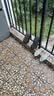 回力官方男鞋夏季镂空凉鞋运动板鞋男百搭鞋子男溯溪涉水鞋 黑色 42 实拍图