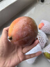 京鲜生攀枝花凯特芒净重8斤 单果400g＋ 新鲜水果 源头直发包邮 实拍图