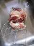 精气神 国产无抗山黑猪五花肉400g 冷冻带皮五花肉猪五花烤肉生鲜烧烤 实拍图