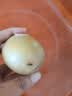佳沛（zespri）新西兰 阳光金果25-27粒原箱特大果单果124-146g 猕猴桃水果礼盒 实拍图