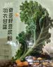 北大荒羽衣甘蓝奇亚籽豆浆粉154g7条高膳食纤维果蔬营养早餐冲饮代餐粉 实拍图