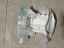 好奇（Huggies）深睡大师纸尿裤M4片(6-11kg)【试用】 实拍图