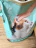 网易严选宠爱全价猫粮 实惠主粮成幼猫爱心三文鱼油美毛护胃 海洋鱼味10kg 实拍图