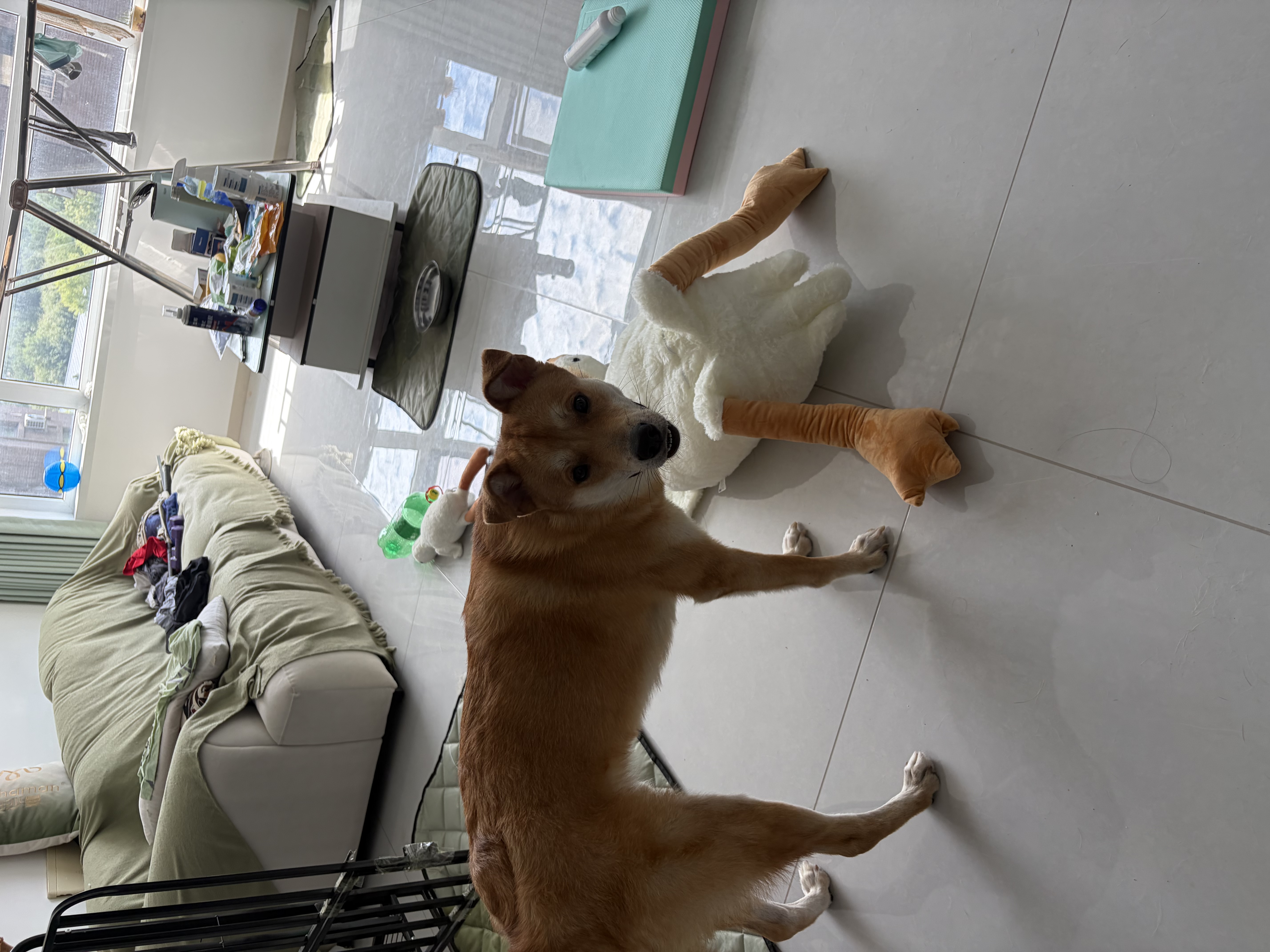 伊美娃娃大白鹅玩偶陪睡毛绒玩具长条抱枕夹腿布娃娃女生睡觉抱生日礼物 胖版大白鹅 1.3米【送同款50cm】 送女孩女友道歉礼物送女生男生 实拍图