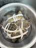 【活蟹】乾澄大闸蟹现货 公3.5-3.8两母2.5-2.8两 8只4对 鲜活螃蟹海鲜礼盒中秋礼品 实拍图