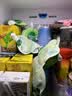 蒙牛特仑苏嗨MILK复合维生素牛奶梦幻盖200mL×10  送礼礼盒 实拍图