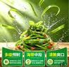 味聚特麻辣海带丝休闲零食早餐榨菜下饭菜开袋即食海带小咸菜泡菜拌饭菜 酸辣海带丝63g*10袋 实拍图