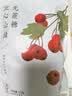 食味的初相 空心山楂球无糖精添加无核山楂干蜜饯果脯休闲零食无添加蔗糖 空心山楂220g*4【0蔗糖】 实拍图