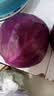京地达山东新鲜紫甘蓝 净重4.5斤 单颗500g+ 源头直发包邮 实拍图