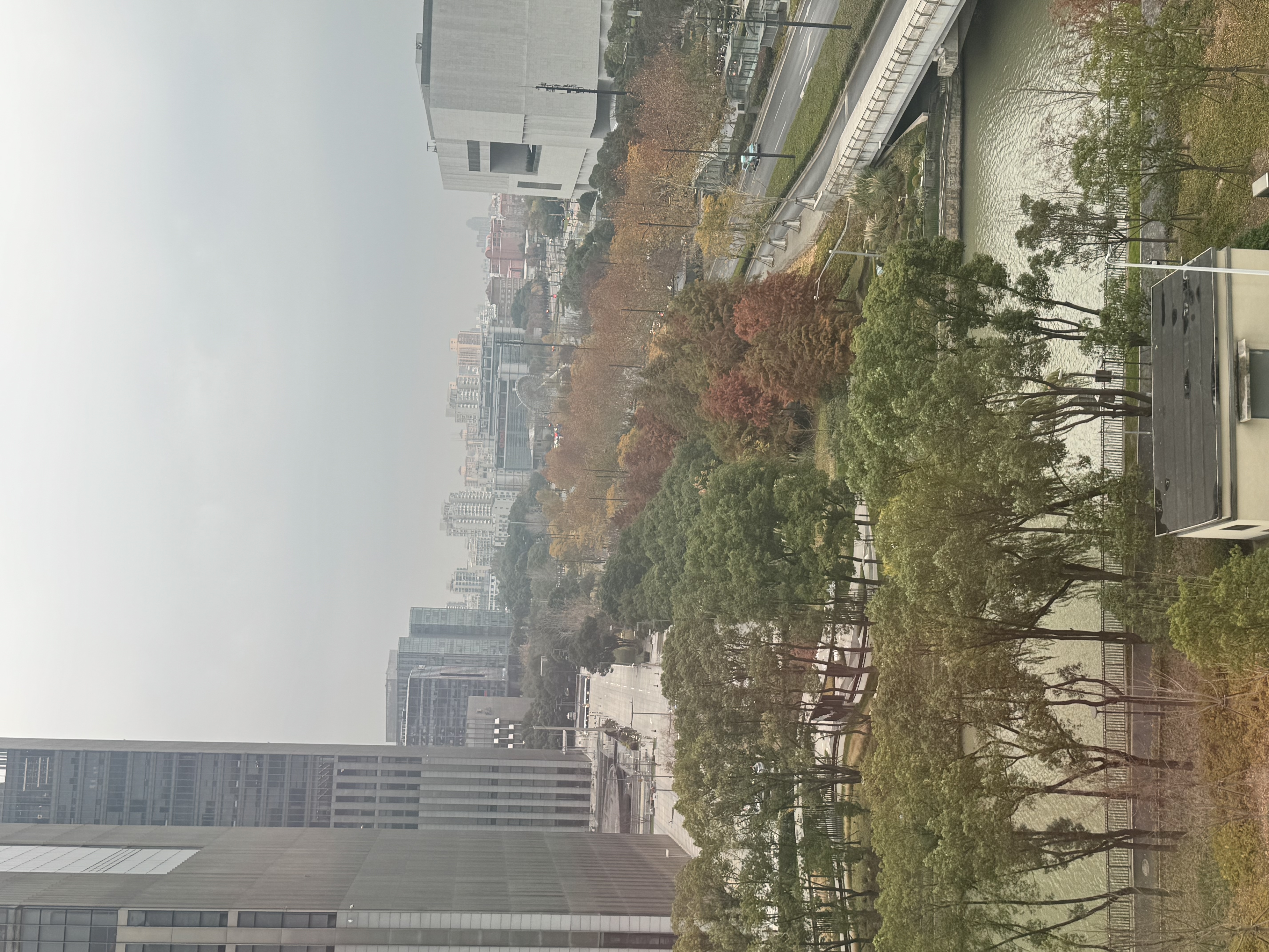 【可选】2026新版一课一练六年级五年级四年级三年级二年级一年级上下册华师大语文数学英语N版普通版增强版123456年级上下册 上海小学教材配套同步练习册 【配套新教材】一课一练二年级上 语数英 增强 实拍图