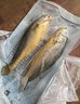 海角7号冷冻宁德三去大黄鱼净重1kg/3-4条大黄鱼生鲜鱼类深海鱼纯鱼肉 实拍图