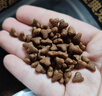 雷米高（RAMICAL）澳丽得 猫粮蓝猫英短主粮幼猫成猫海洋鱼味全价猫粮试吃500g 1斤 实拍图