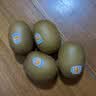 佳沛（zespri）新西兰阳光金奇异果10粒巨大果单果146-175g 猕猴桃水果礼盒 实拍图