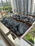 星工浸胶耐磨劳保手套夏季薄款透气尼龙皱防滑柔软工地工作防护手套 12付XGS-J11 实拍图