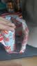 斑马精酿德式小麦精酿啤酒  500ml*12听 白啤国产精酿整箱装喜宴啤酒自营 实拍图