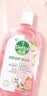 滴露（Dettol）衣物消毒液自然香氛洗衣除菌液 除螨除异味去汗臭48h留香1000ml*1 实拍图