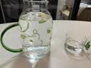 炊大皇家用冷水壶泡茶耐冷耐高温大容量高硼硅玻璃1.63L（苔间绿） 实拍图