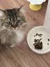 皇家猫粮 幼猫猫粮 干湿搭配 K36 4.5kg+啫喱肉冻KJP 85G*3 实拍图