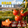 爷爷的农场核桃油热炒油500ml 进口儿童食用油 赠婴儿宝宝辅食谱 实拍图