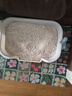 倔强尾巴原味纯豆腐猫砂Max 持久无尘双效除臭持久低敏幼猫可用 2.5KG*2袋 实拍图