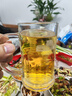 青岛啤酒（TsingTao）无醇白啤原麦汁浓度5°P 500ml*12罐 整箱装 实拍图