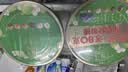 溜溜梅青梅分享桶460g西梅雪梅脆青梅果冻健康休闲零食团购礼包 实拍图