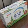 伊利纯牛奶250ml*24盒 优质乳蛋白早餐奶  实拍图
