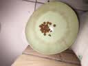 佩玛思特PetMaster深海鱼系列猫粮美毛成猫粮2kg 实拍图