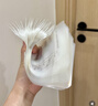 新贝 储奶袋 母乳储存保鲜袋 可冷冻加厚防漏 200ML90片 实拍图