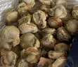 鲜项大号冷冻带黄扇贝肉净重2斤约80-120粒烧烤火锅食材海鲜生鲜送礼 实拍图