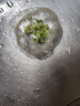 Jidaocook一次性水槽过滤网厨房洗菜盆下水防堵提篮网兜洗碗池饭菜残渣滤网 带抽取盒【500只】一次性过滤网 实拍图