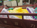 伊利【新鲜日期】金典纯牛奶早餐奶250ml*16盒3.6g乳蛋白 礼盒装 6月 实拍图