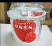 卡士（CLASSY.KISS）【全程冷链】草莓树莓果粒鲜酪乳100g*6杯 低温酸奶 风味发酵乳 实拍图
