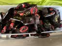 德芙香浓黑巧克力 桶装480g 休闲零食糖果 节日礼物 送女友礼物 实拍图