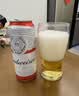 百威【梅西同款】经典红罐啤酒450mL 18罐整箱装喜宴中秋送礼 实拍图