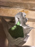 洁客（Drymax）豆腐砂植物环保结团除臭猫砂绿茶2.72kg*6包共16.32kg 实拍图