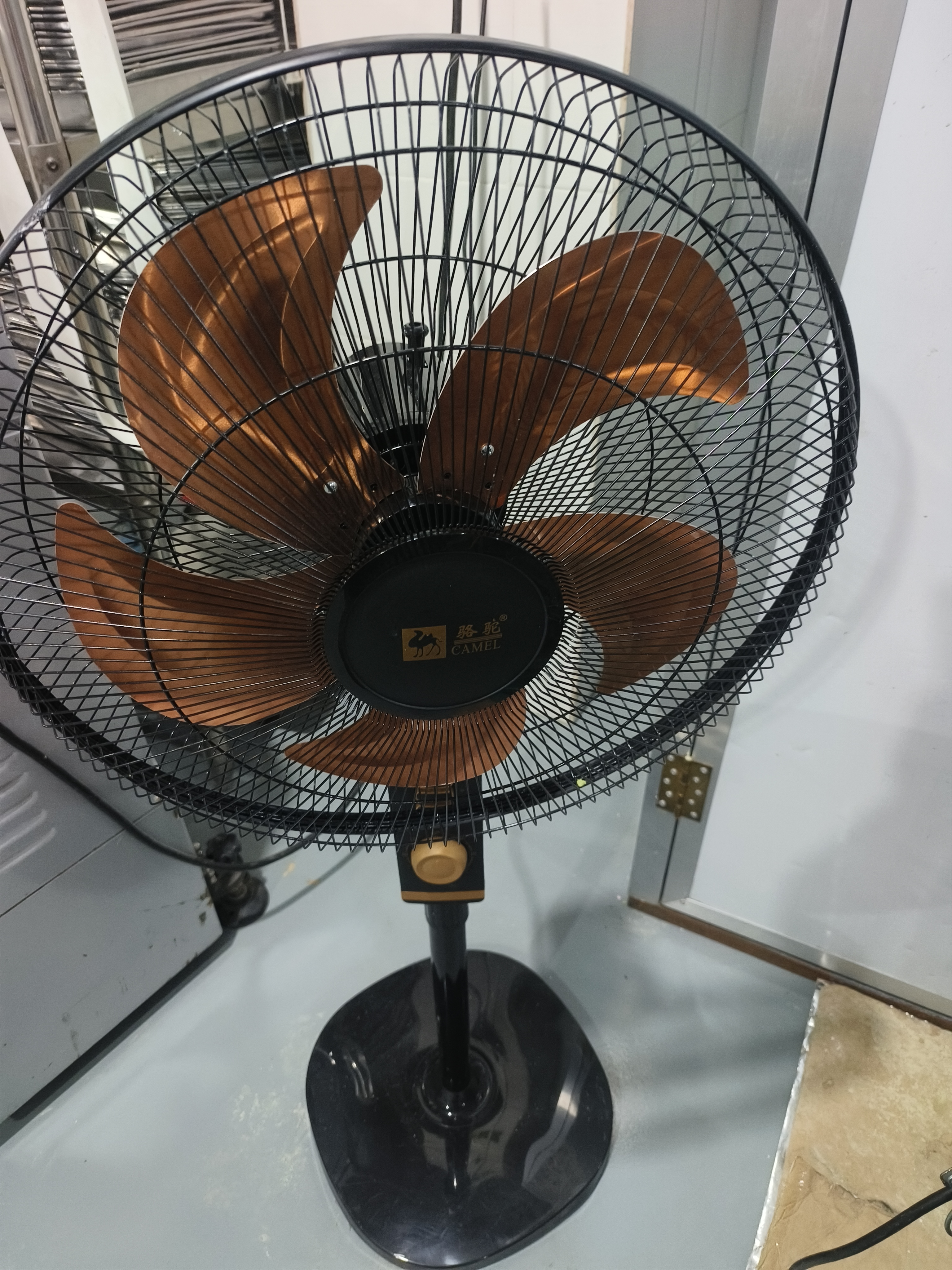 骆驼电风扇家用落地扇大风力轻音节能省电扇摇头机械定时台立两用办公室宿舍卧室工业电扇 20英寸机械款【铝叶】-定时-重底盘 实拍图