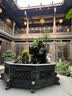 【原研进口】信必可都保 布地奈德福莫特罗吸入粉雾剂(II) 160μg:4.5μg*60吸/盒 3盒装 实拍图