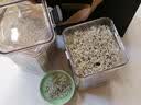 贡苑特级有机张家 界莓茶礼盒190g送长辈礼品天然原生态高山龙须芽尖 实拍图
