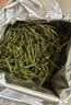 京东京造【2026新茶】明前信阳毛尖250g地标茶叶绿茶春茶自己喝自营性价比 实拍图