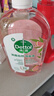 滴露（Dettol）香氛自然衣物消毒液48H留香洗衣除臭儿童可用消毒水杀菌除螨1L*2 实拍图