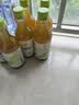 麒麟日本进口生茶绿茶无糖0脂0卡原味网红凉茶茶饮料525ml*6瓶 实拍图