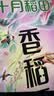 十月稻田 绿色食品 五常大米 10斤（东北大米 香米 5kg/公斤） 实拍图