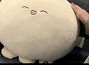 RURE【德国】七夕情人节礼物送女生生日礼物女士实用走心高级小众腰部按摩仪抱枕靠枕送闺蜜姐妹礼物 【升级充电款+精美礼盒款】