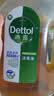滴露（Dettol）消毒液洗衣衣物消毒水750mL 除螨杀菌混洗无忧 家居地板消毒 非84 实拍图