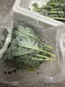 新鲜羽衣甘蓝生鲜蔬菜嫩叶云南甘兰芥蓝西餐沙拉榨汁减脂直播间 羽衣甘蓝轻食3斤净重 实拍图